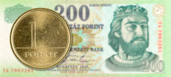 Pièce Forint Contre 200 Billets Banque Forint Hongrois Avers — Photo