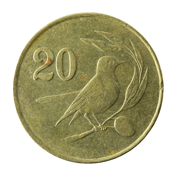 Cypriotische Cent Munt 1983 Voorzijde Geïsoleerd Witte Achtergrond — Stockfoto