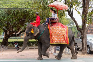 Ayutthaya, Tayland - 12.24.2018; turistler bir şehir turu bir fil üzerinde