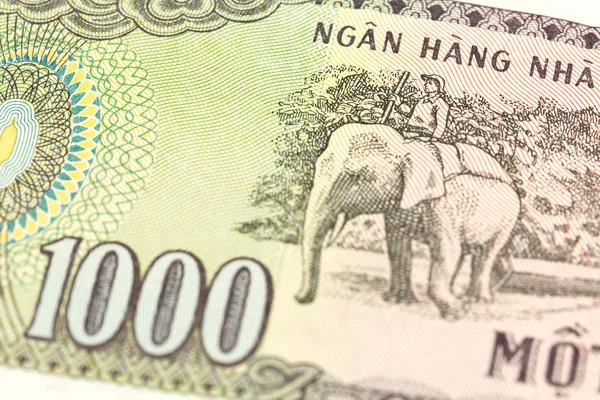 Detail Van Een Bankbiljet Van 1000 Vietnamese Dong Reverse — Stockfoto