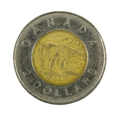 2 Kanada Doları sikke (1996) ters izole üzerinde beyaz backgrou