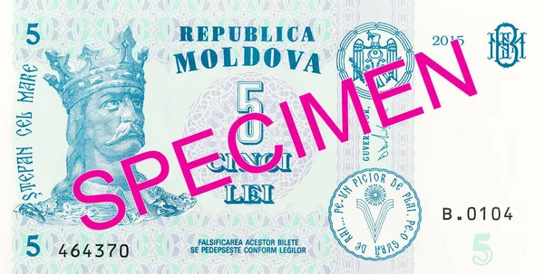 5 Moldován lei bankjegy-elegy minta — Stock Fotó