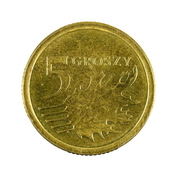 5 polska Groszy Coin (2014) obvers isolerad på vit bakgrund — Stockfoto