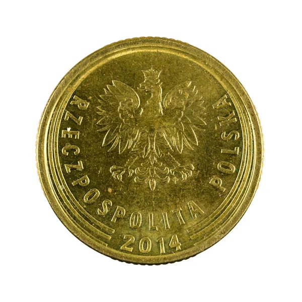5 polish groszy coin (2014) inversé isolé sur fond blanc — Photo