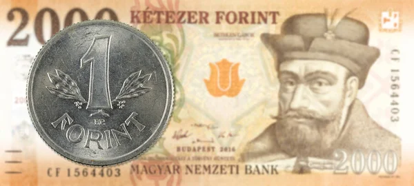 1 венгерская монета против нового венгерского банка 2000 года — стоковое фото