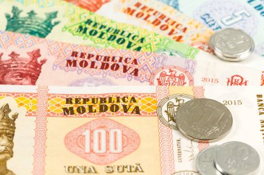 growi gösteren bazı moldovali leu banknotlar ve sikkeler detay