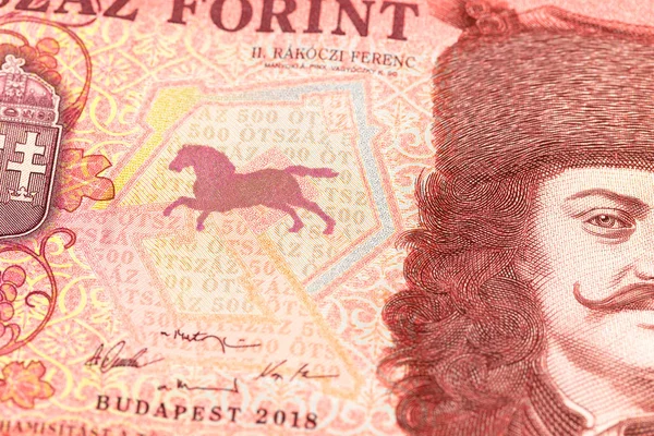 Detail van een 500 Hongaren Forint-biljet dat de groei van de EG aangeeft — Stockfoto