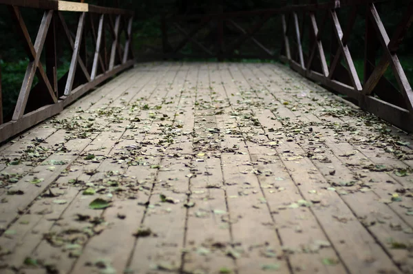 Köprüde düşen yapraklar