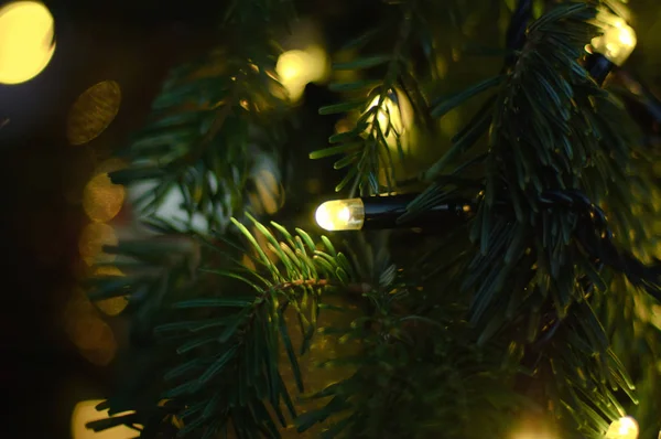 LED ışık Noel ağacı üzerinde