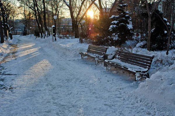 Parkta soğuk bir akşam.