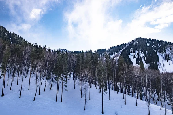 Slunečný Den Akbulak Ski Base Kazachstán — Stock fotografie