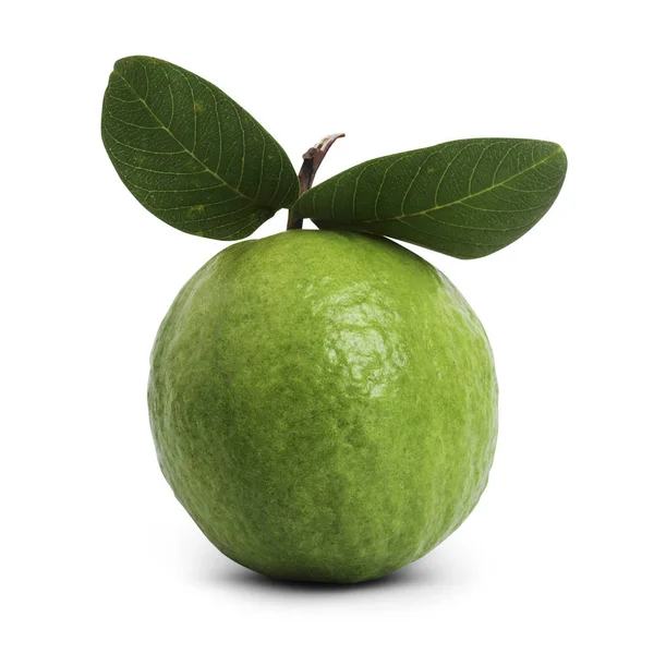 Guava beyaz arkaplanda izole edildi