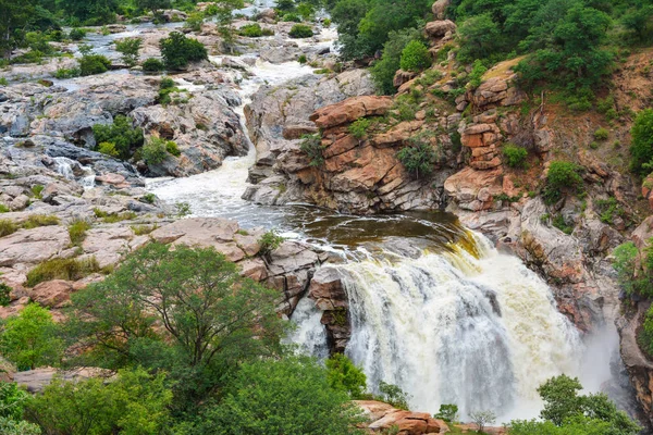 Chunchi şelale Karnatak, Hindistan