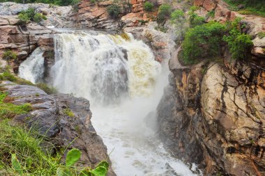 Chunchi şelale Karnatak, Hindistan
