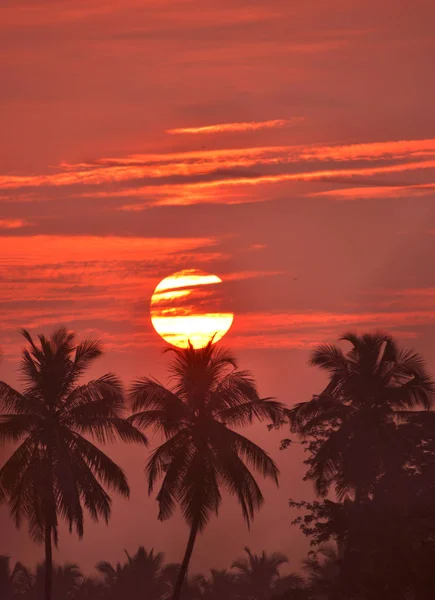 Beautiful Sunset Horizon — Stock Photo, Image