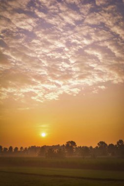 Ufukta Güzel Gün Batımı, Hindistan