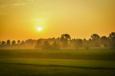 Ufukta Güzel Gün Batımı, Hindistan