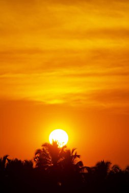 Gün batımı ufukta