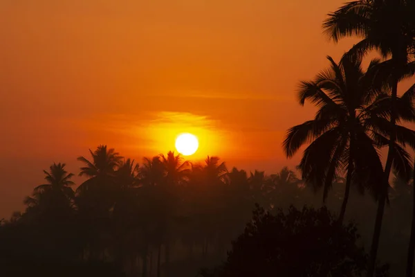 Захід Сонця Горизонті — стокове фото