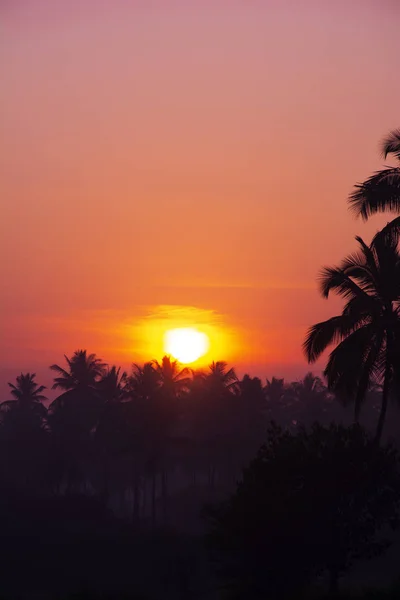 Puesta Sol Horizonte — Foto de Stock