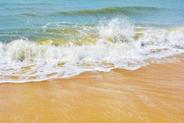 Yumuşak dalga kumlu plaj alavurdu