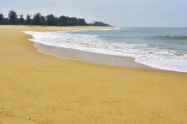 Yumuşak dalga kumlu plaj alavurdu