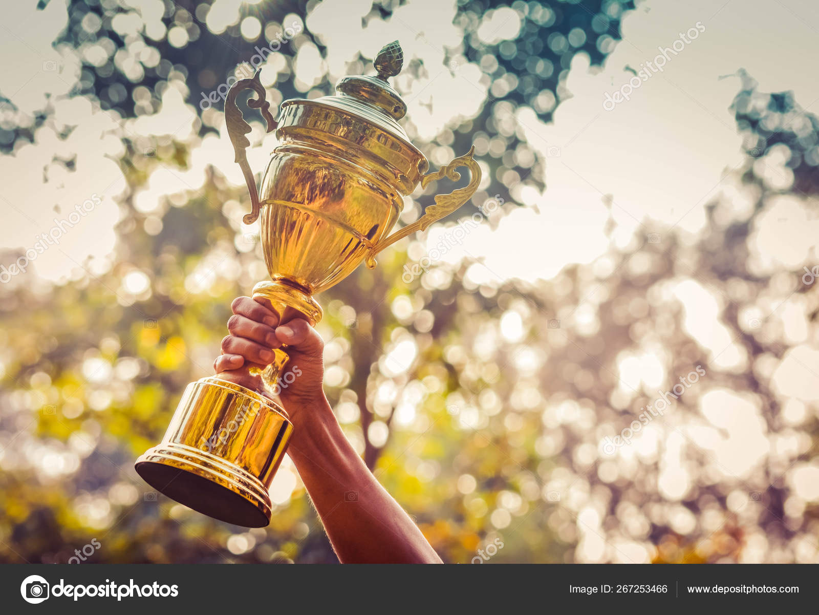 Holding Golden Trophy Nature Background Stock by ©Digitalsoul