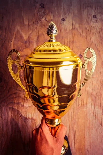Holding Gold Trophy Cup Winner — Stock Photo, Image