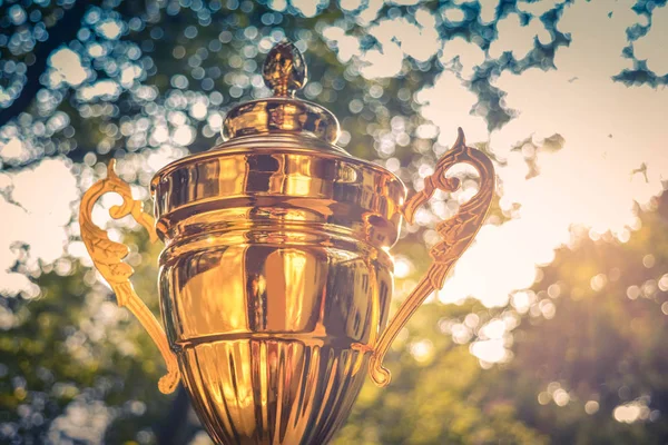 Gold trophy on green nature background