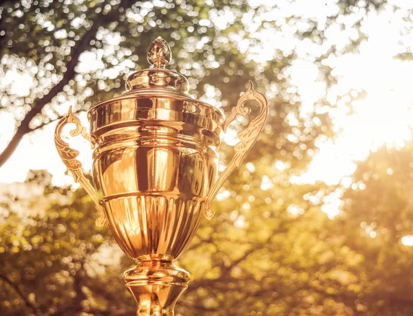 Gold trophy on green nature background