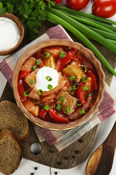 Russian Beetroot Soup Cabbage Meat Borsch — Stock Photo, Image