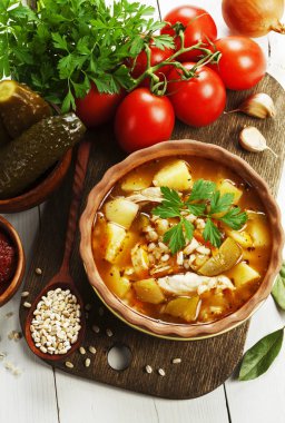 Tavuk eti ve domates soslu turşu çorba. Rassolnik