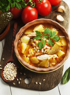 Tavuk eti ve domates soslu turşu çorba. Rassolnik