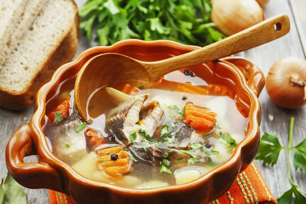 Fish sterlet soup — Stock Photo, Image