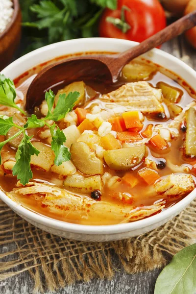 Sopa de encurtidos con carne — Foto de Stock