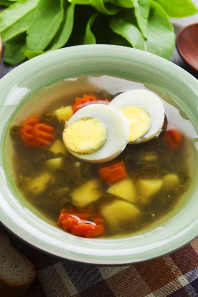 Σορέλ σούπα με αυγό — Φωτογραφία Αρχείου
