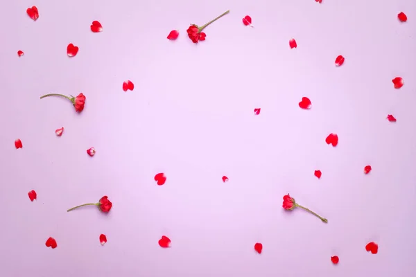 Samenstelling van rozen — Stockfoto