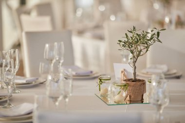 Düğün masasındaki küçük dekoratif ağaç.