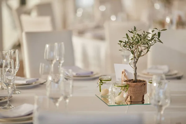 Pequeño árbol decorativo en la mesa de la boda —  Fotos de Stock