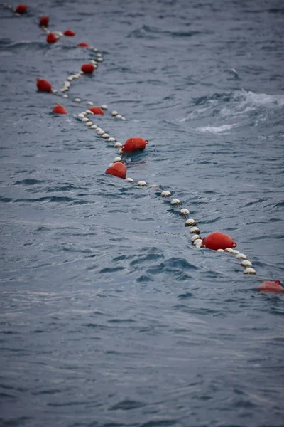 Red buoys in the sea to separate zones — Stock Photo, Image