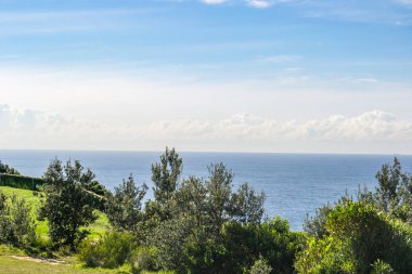 okyanus önünde park, insanlar köpekler dışarı yürüyor