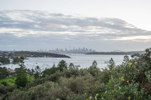 悉尼市日落时刻的天际线 — 图库照片