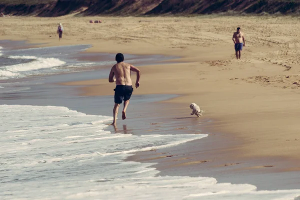 男と彼の小さな子犬は ビーチで実行しています — ストック写真