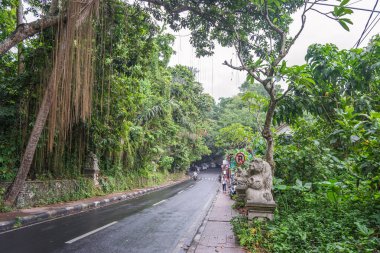 Ubud'un çevresi. Bitki örtüsüyle dolu yol