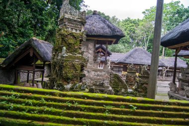 Ubud'da bitki örtüsüyle dolu bir tapınağın manzarası