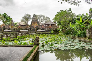 Su ve bitkiler ile Bahçeler