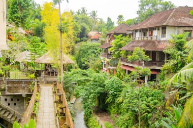 Ubud tipik Balinesse manzara.