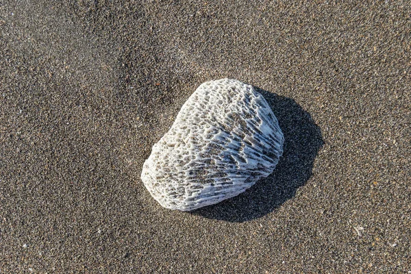 Пляжний Камінь Заході Сонця Піску — стокове фото