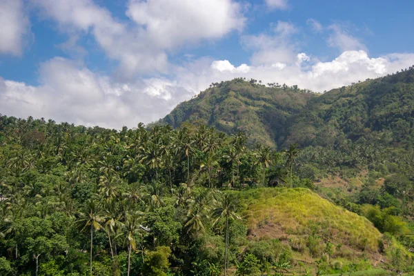 Dağlar Tarlalar Ile Bali Manzara — Stok fotoğraf