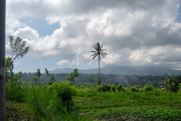 Landscae Bali Con Campos Verdes Día Nublado Naturaleza — Foto de Stock